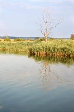 Reflection Foto stock