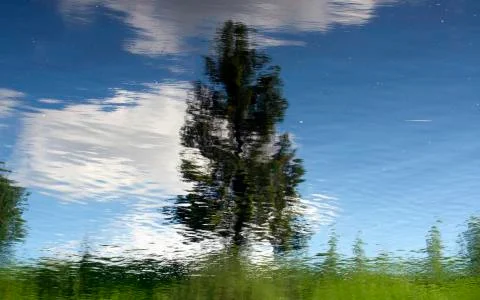 Reflection 스톡 사진