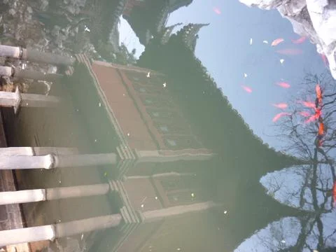 Reflection Stock Photos