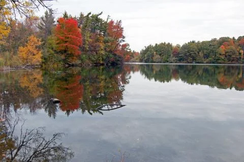 Reflection Stock Photos