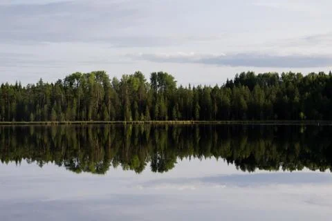 Reflection. Stock Photos