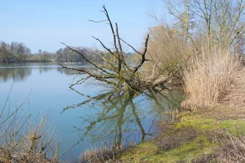 Reflection Stock Photos