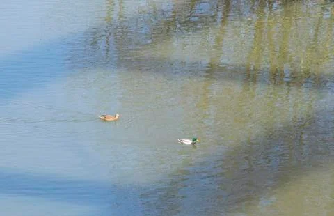 Reflection Stock Photos