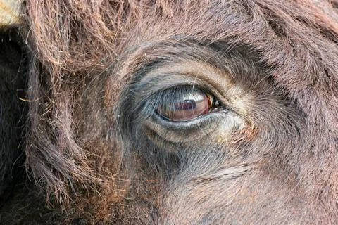 Reflection Stock Photos