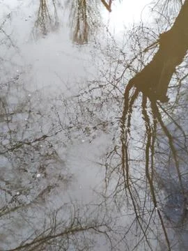 Reflection Stock Photos