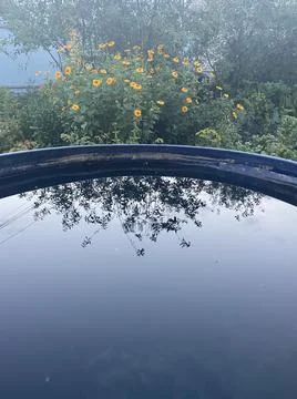 Reflection Stock Photos