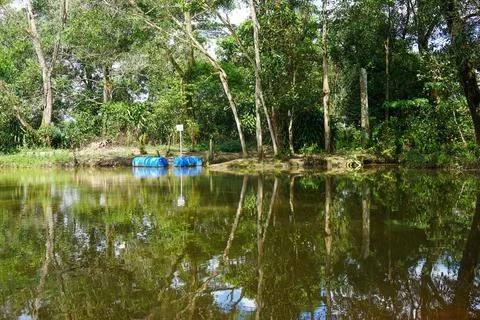 The reflection Stock Photos