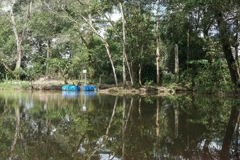 The reflection Stock Photos