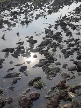 Reflection 스톡 사진