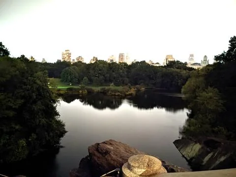 Reflection Stock Photos