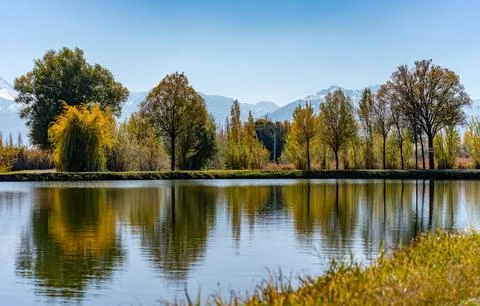 Reflection Stock Photos