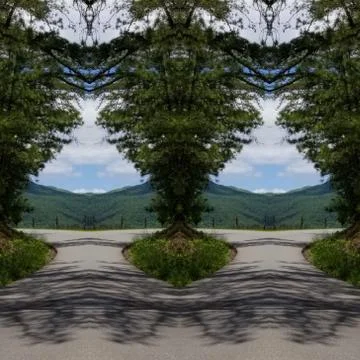 Reflection  Photo Collage of Tree Lined Curvy Country Road in May Stock Photos