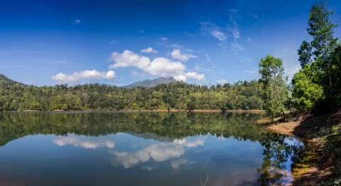 Reflection of pine tree in a lake Stock Photos