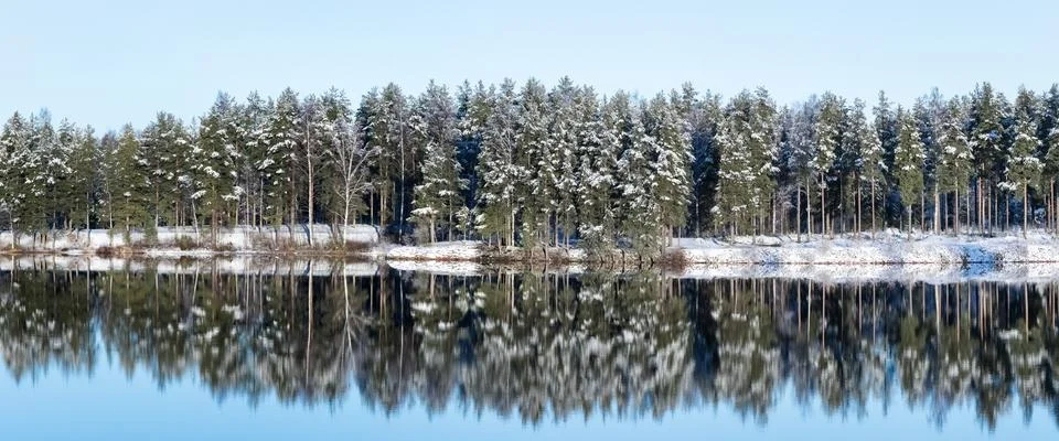 Reflection of pine trees on a lake in Dalarna, Sweden Stock Photos