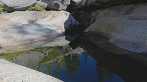 Reflection of Pine Trees in a Rocky Granite Pool in the Sierra Nevada Stock Footage 320028157