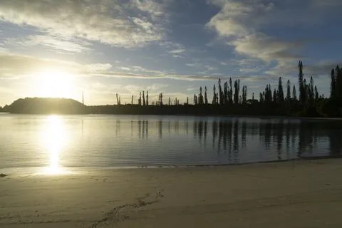 Reflection Pine Trees On The Sea Stock Photos
