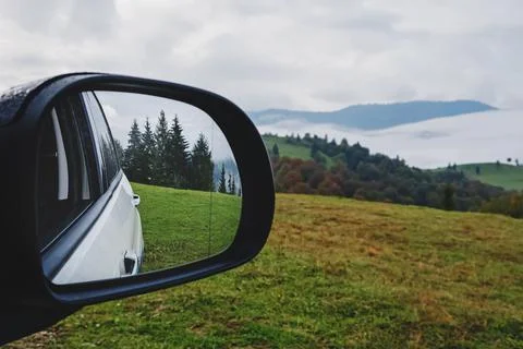 Reflection of pines in car side mirror close-up. Stock Photos