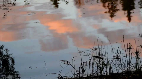 The reflection of pink clouds in the water nature Stock Footage 108742704