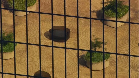 Reflection of plants and trees on the glass exterior of skyscrapers, Chattanooga Stock Footage 109125660