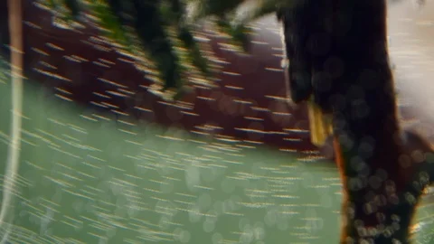 Reflection of plants in water. Macro shot. Abstract colorful blurred background. 스톡 동영상 104196522