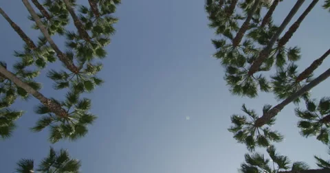 Reflection Plate of a Driving Plate: This view shows only the sky and objects Stock Footage 59352079