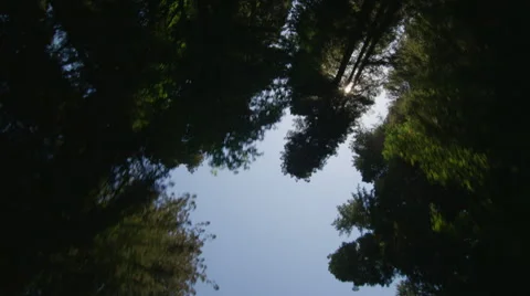 Reflection Plate of a Driving Plate: This view shows only the sky and objects Stock Footage 59511169