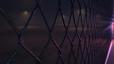 Reflection of police lights in night wire mesh,,crime,convict Stock Footage 113703527