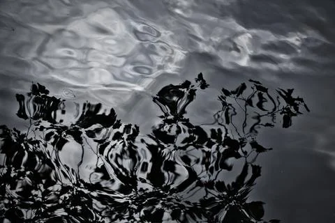 Reflection on a pond in Central Park Stock-Fotos
