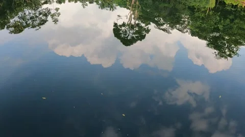 Reflection from a pond 動画素材 156306430