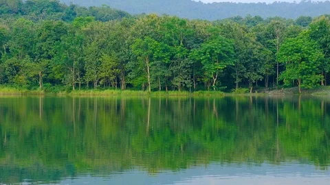 Reflection pond with green forest at natural camping site. Stock Footage 117656830