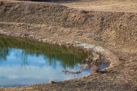 Reflection in a pond Stock Photos