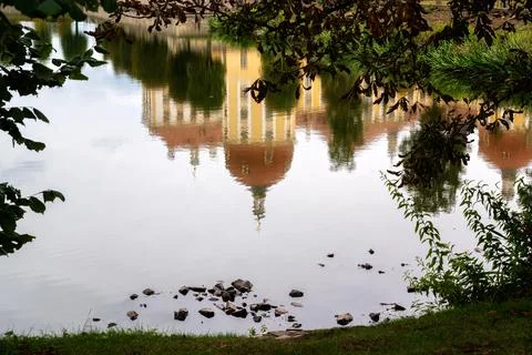 Reflection in the pond. Stock Photos