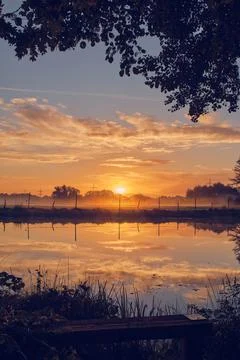 Reflection on pond in sunrise Stock Photos