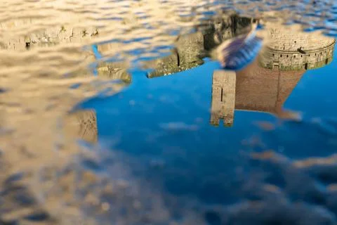 Reflection in the pool of the castle Cite de Carcassonne. France. Foto stock