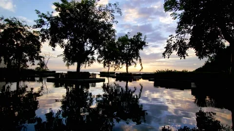 Reflection Pool with Tropical Trees at the Beach at Sunset Stock Footage 61155065
