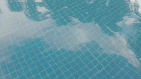 The reflection of poo’s surface. Stock Footage 90154566