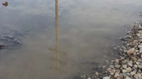 Reflection of Power Pole 動画素材 45910193