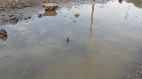 Reflection of Power Pole Video stock 45910358