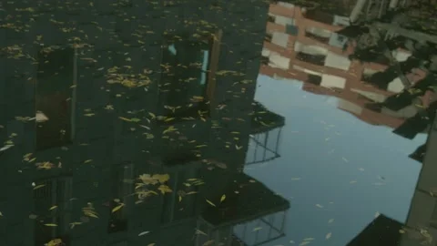 Reflection in a puddle of an autumn city Stock Footage 273576226