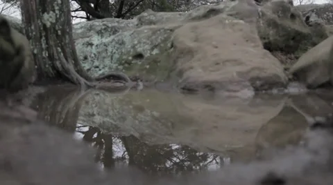 Reflection In A Puddle Video stock 31038139
