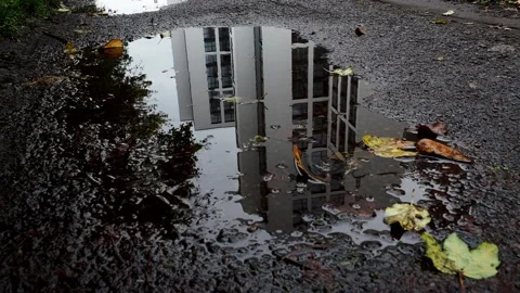 Reflection In The Puddle Stock Footage 220663939