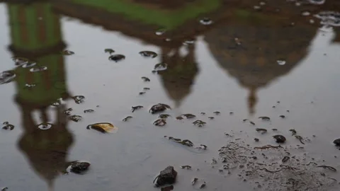 Reflection on a puddle Stock-Footage 272588765