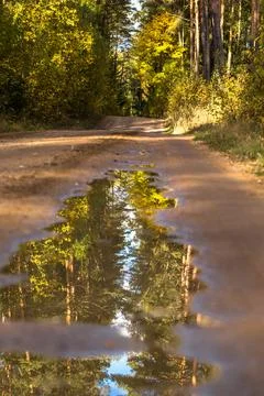 Reflection in a puddle Stock Photos