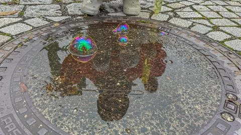 Reflection in Puddle with Soap Bubbles Stock Photos