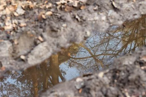 Reflection in puddle of water Stock Photos
