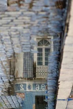 Reflection in a Puddle of Water 写真素材
