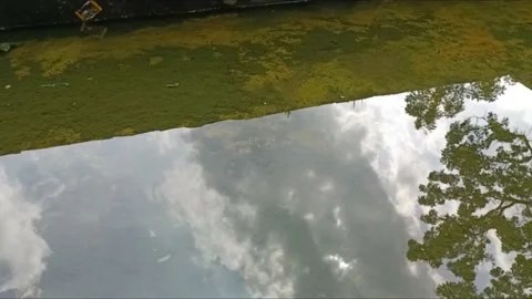 Reflection on puddles Stock Footage 237015839