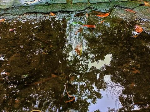 Reflection on puddles Stock Photos