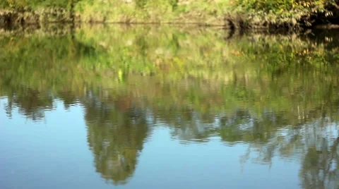 Reflection in a quiet lake Stock Footage 68347887