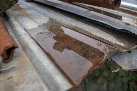 Reflection on the rain water 库存照片